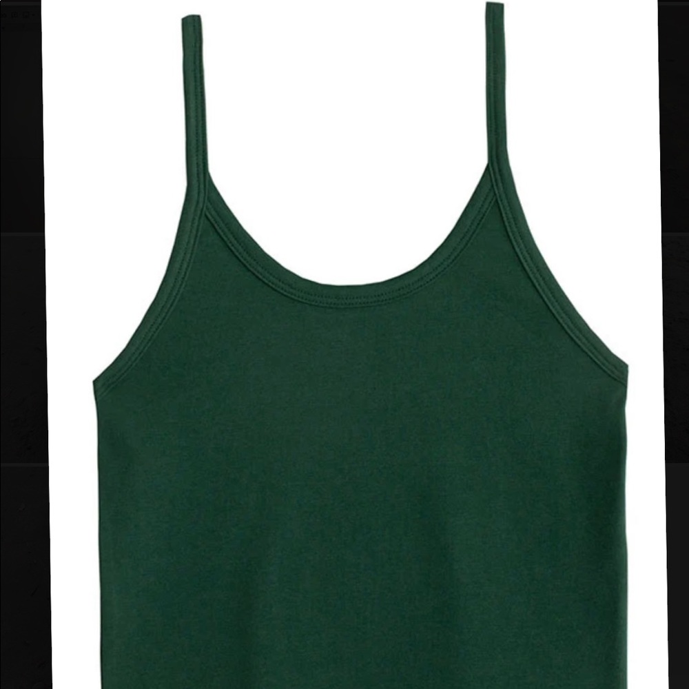 ARQ Tank Fern